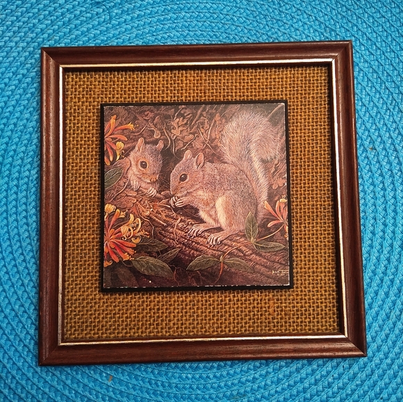 Vintage Squirrel Nature Print by Dick Twinney UK 🐿️🍁 - Picture 1 of 5